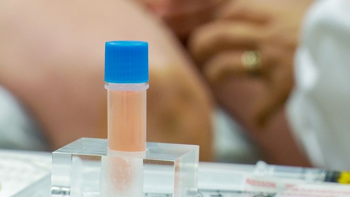 Axolotl Biologix and Carmell Therapeutics Merge to Pioneer Regenerative Medicine Advancements