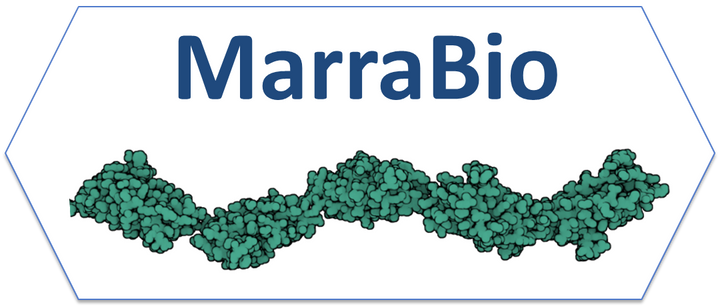 Newcastle University's Biotech Spinout MarraBio Raises £500,000 in Seed for Innovative Protein Tech